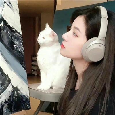 楼王之迷